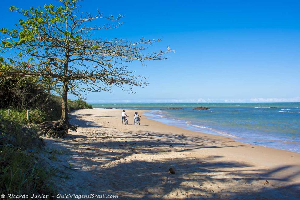 Imagem da Charmosa Praia dos Coqueiros.